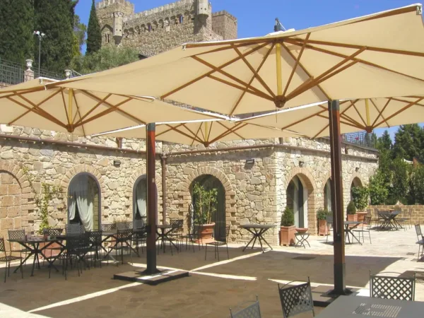 Clover in Legno o Alluminio