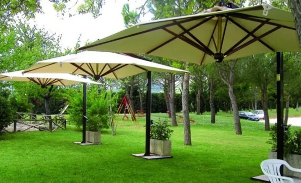 America Elite in Legno