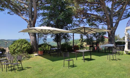 IMG_20220711_105327_