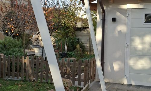 WhatsApp Image 2026-02-11 at 13.56.02