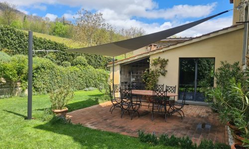 WhatsApp Image 2026-02-11 at 13.56.30 (2)