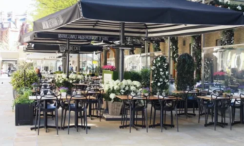 manicomiochelsea2018terrace-1web